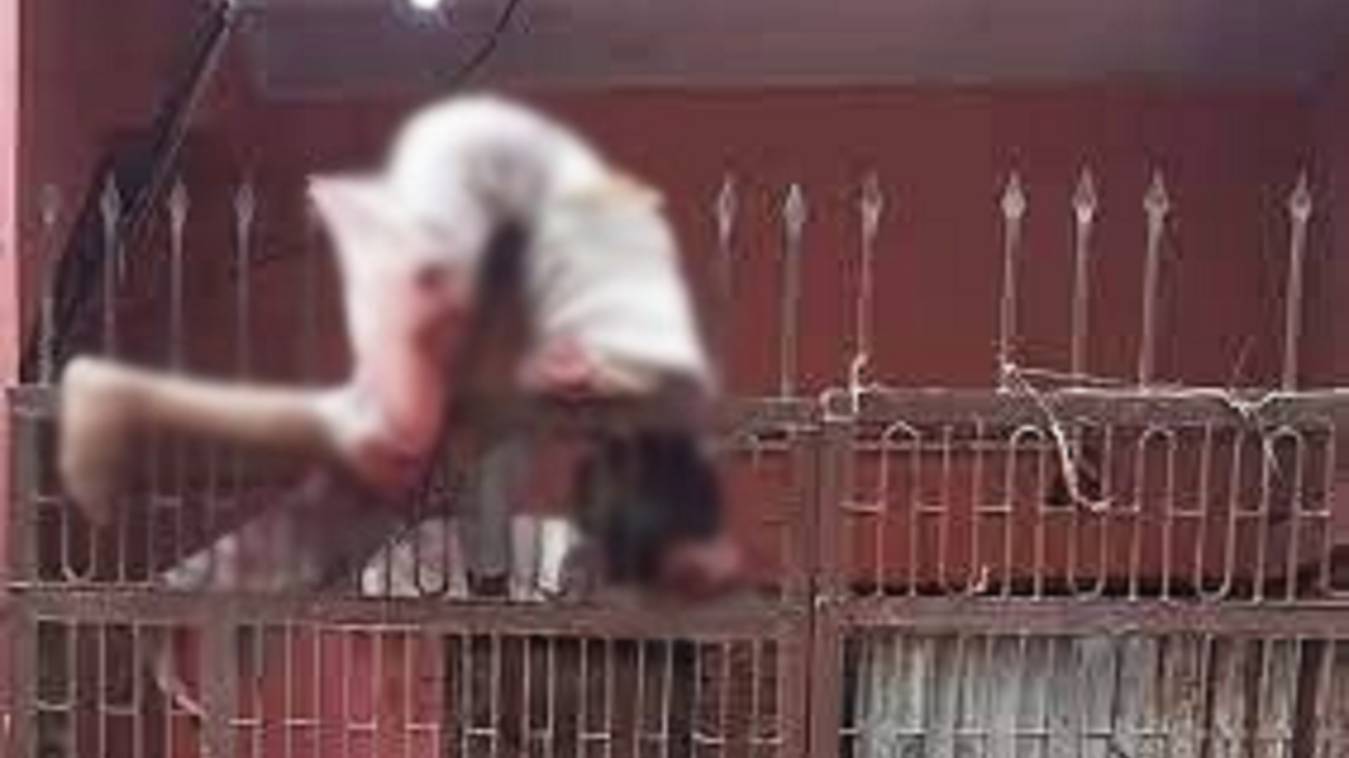 दरवाजे की नुकीला रॉड में धंसा मिला अधेड़, हुई दर्दनाक मौत 