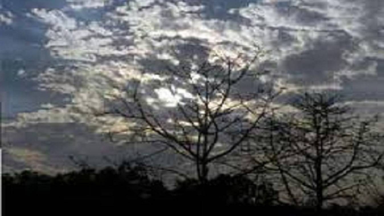 आसमान में बादलों ने दी दस्‍तक, नम हवाओं ने दिलाई तेज धूप और गर्मी से राहत