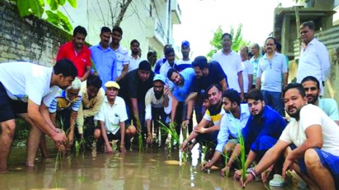 वाराणसी में जलभराव से परेशान लोगों ने सड़क पर धान रोप कर जताई नाराजगी, बोले- शिकायत के बाद भी सुनवाई नहीं