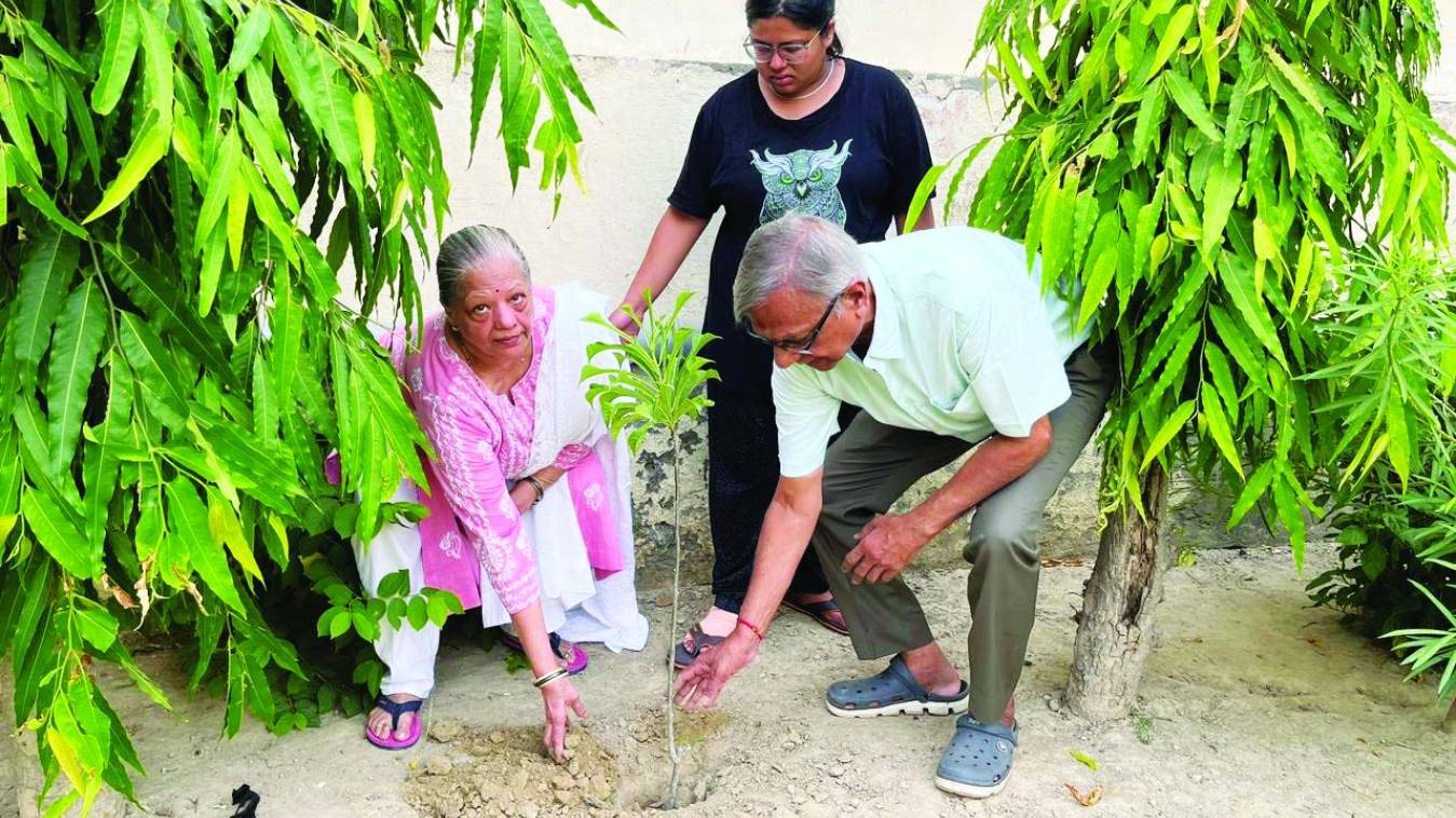विश्व पर्यावरण दिवस पर किया पौधरोपण