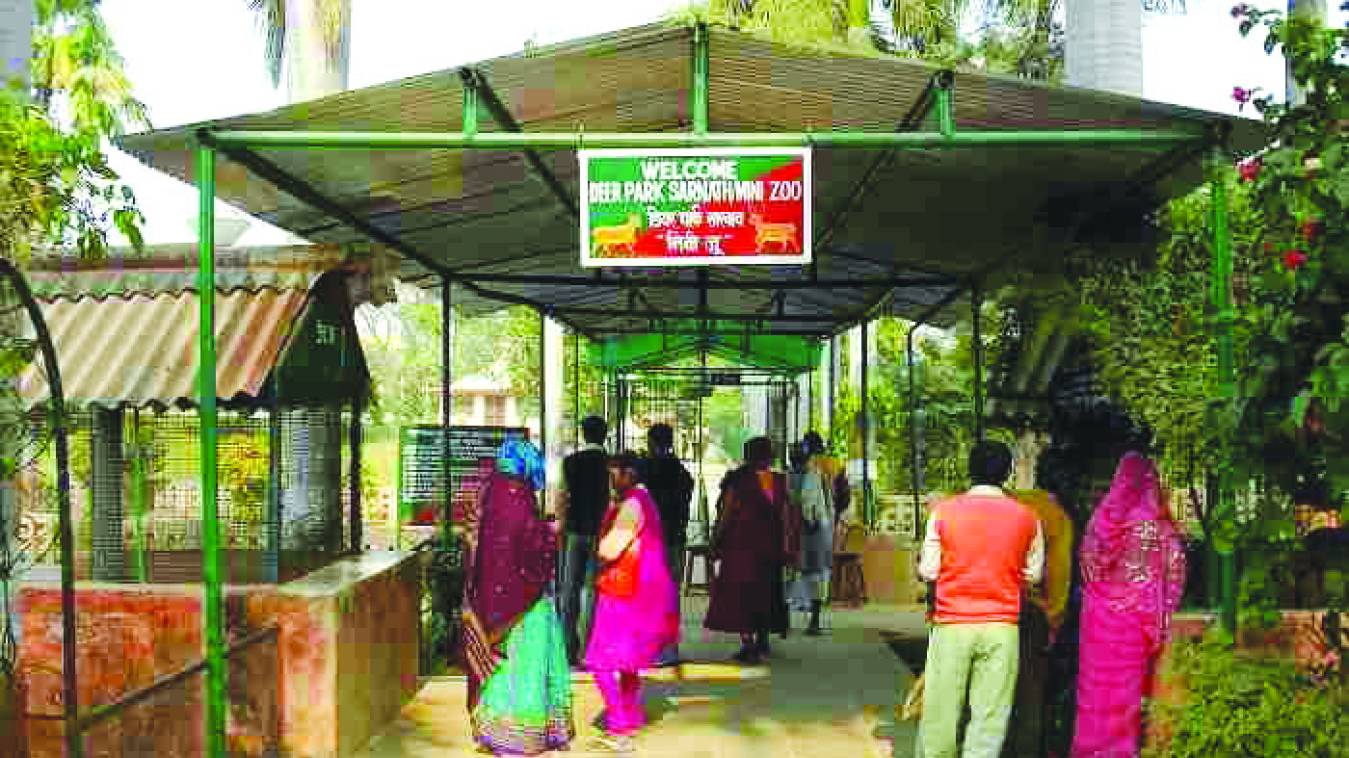 कम नहीं हुई सूरज की नरमी, बेजुबानों को भी सता रही गर्मी