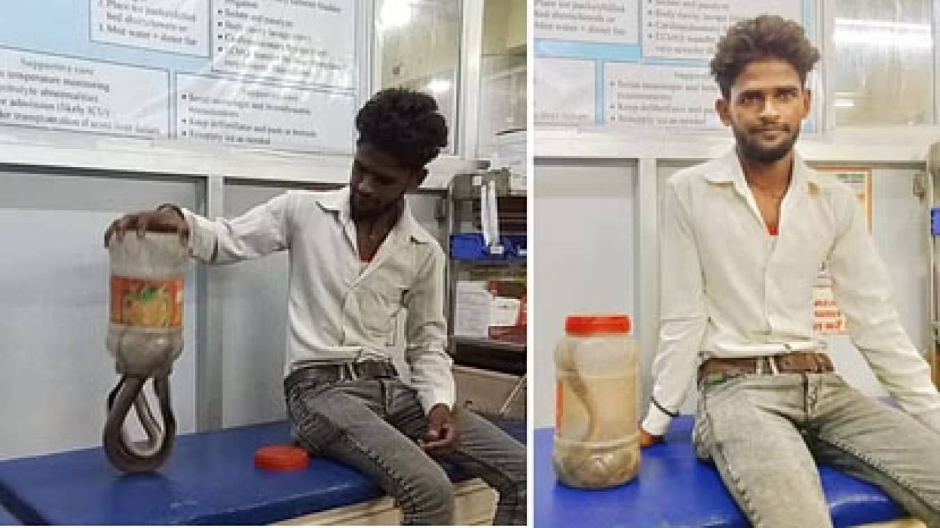  कोबरा सांप के साथ अस्पताल पहुंचा युवक, डॉक्टरों से बोला- इसने मुझे काट लिया है