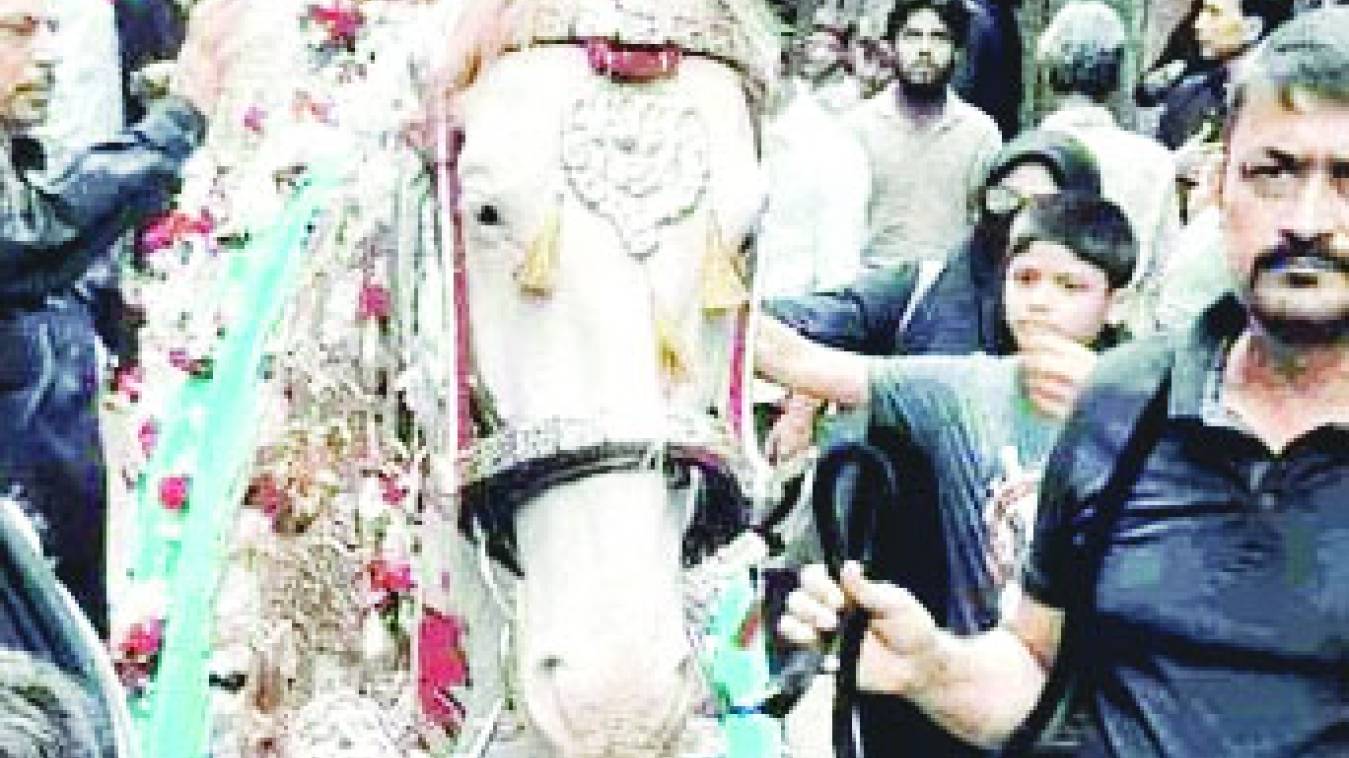 आज उठेगा अय्याम ए अजा का आखरी जुलूस