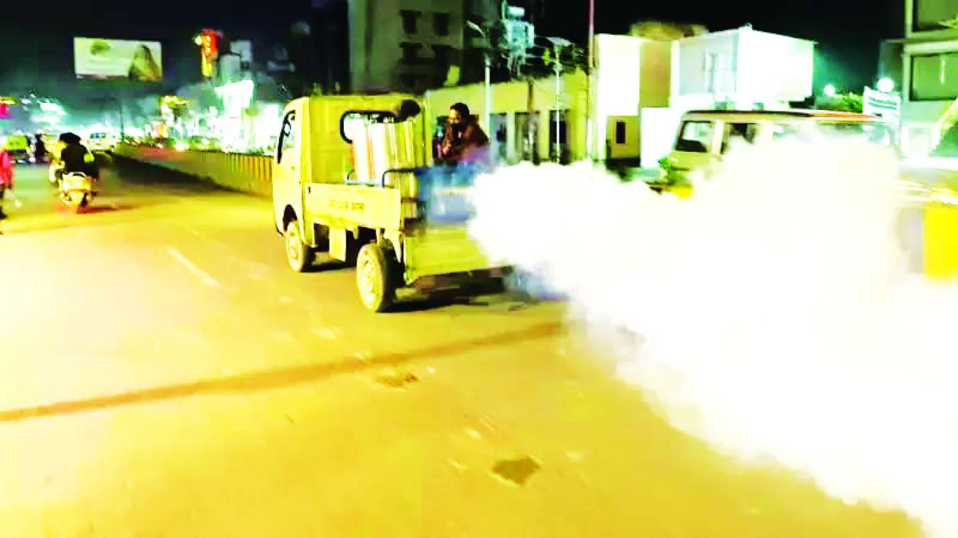 बहुत ढीठ हो गए हैं...मच्छर