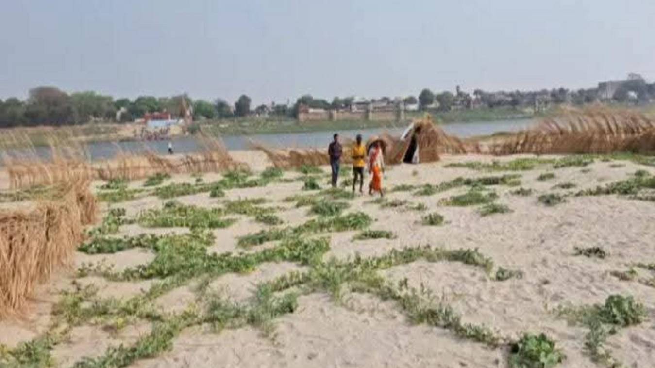 रेत पर जीवन सवारने की जगी उम्मीद, गंगा किनारे भूमिहीन किसानों की मेहनत ला रही रंग