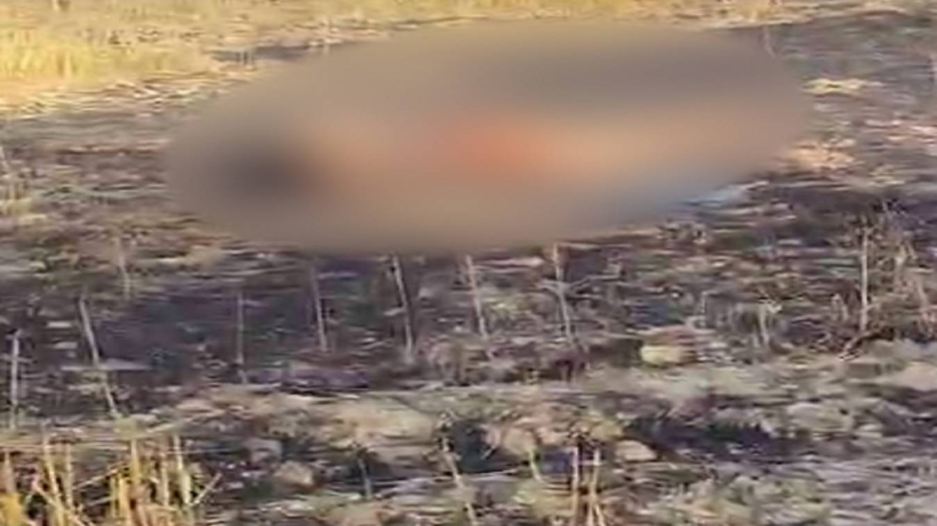 गोरखपुर में प्रेमी जोड़े की अर्धनग्न मिली लाश, दो दिन से थे घर से फरार…