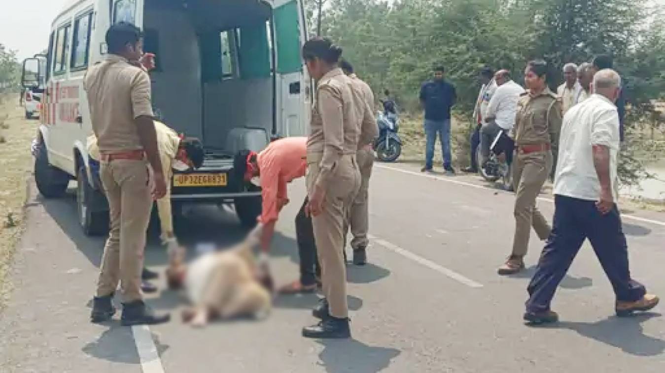 पूर्वांचल एक्सप्रेस-वे पर भीषण हादसा, पति-पत्नी की मौत,  बेटा-बहू गंभीर रूप से घायल