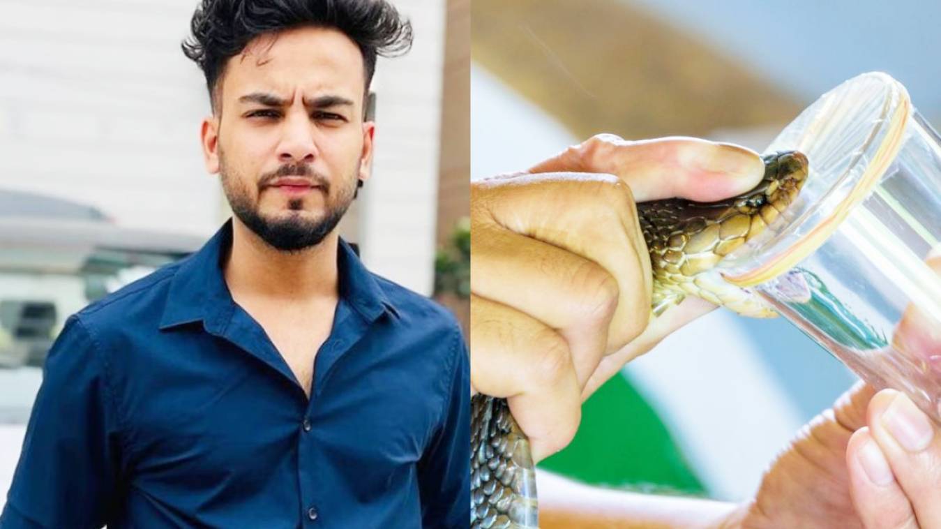 एल्विश यादव को हाईकोर्ट से झटका, सांप से जहर निकालने के मामले में दर्ज एफआईआर नहीं होगी रद्द