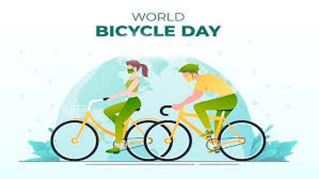 मजबूर और जिम्मेदारों की सवारी बनकर रह गई साइकिल