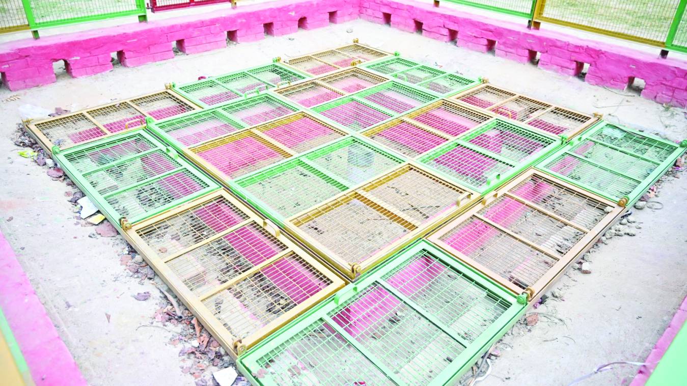 बरेका में वर्षा जल संचयन हेतु 150 बोरवेल निर्माण का लक्ष्य