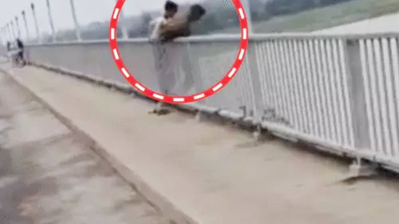 पुल से प्रेमी-प्रेमिका ने लगाई छलांग, यमुना में मिले बैग से पहचान में जुटी पुलिस