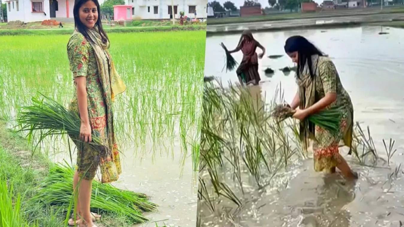 सपा सांसद प्रिया सरोज ने धान की रोपाई , सोशल मीडिया पर वीडियो वायरल, लोग बोले- जमीन से जुड़ी हैं....