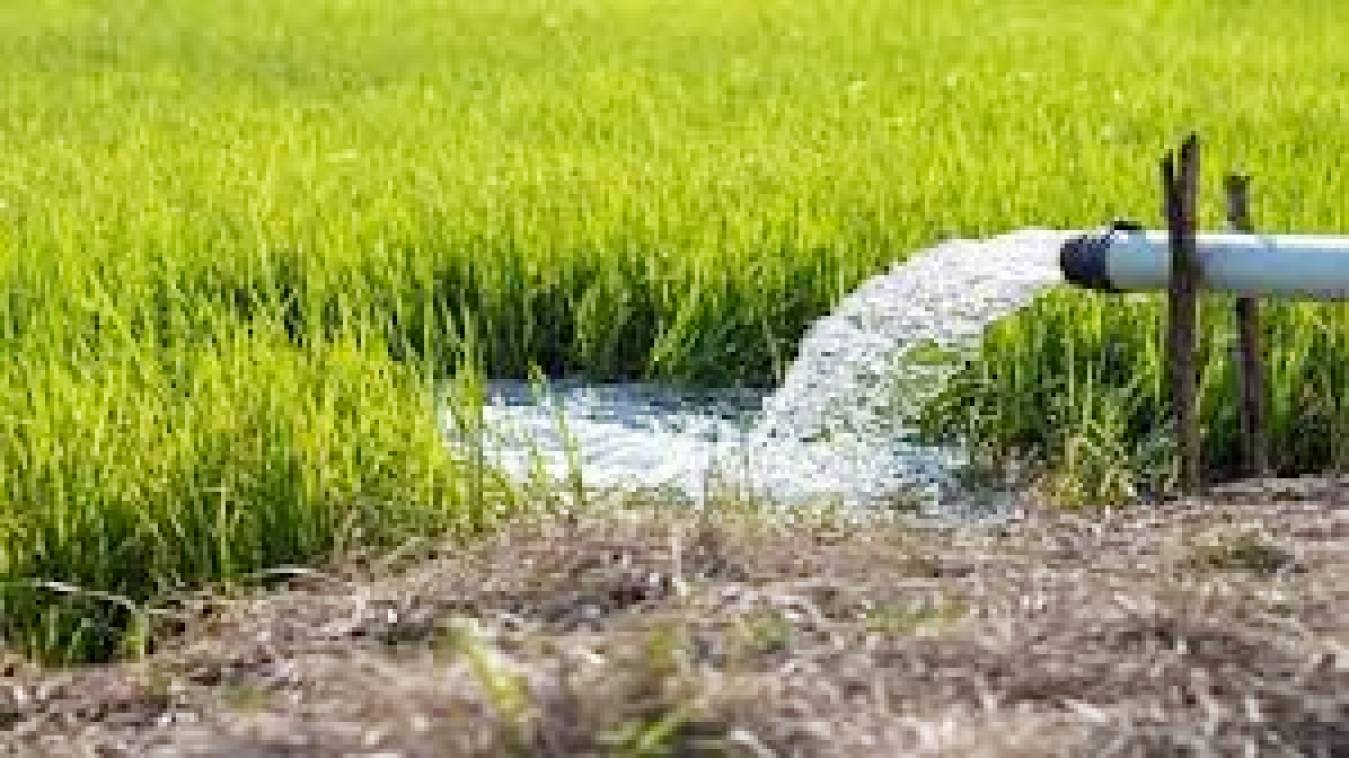 किसानों के लिए खुशखबरी! सोलर पंप के लिए सरकार देगी 90% सब्सिडी, बिजली बिल की नो टेंशन, जानें कैसे करें आवेदन