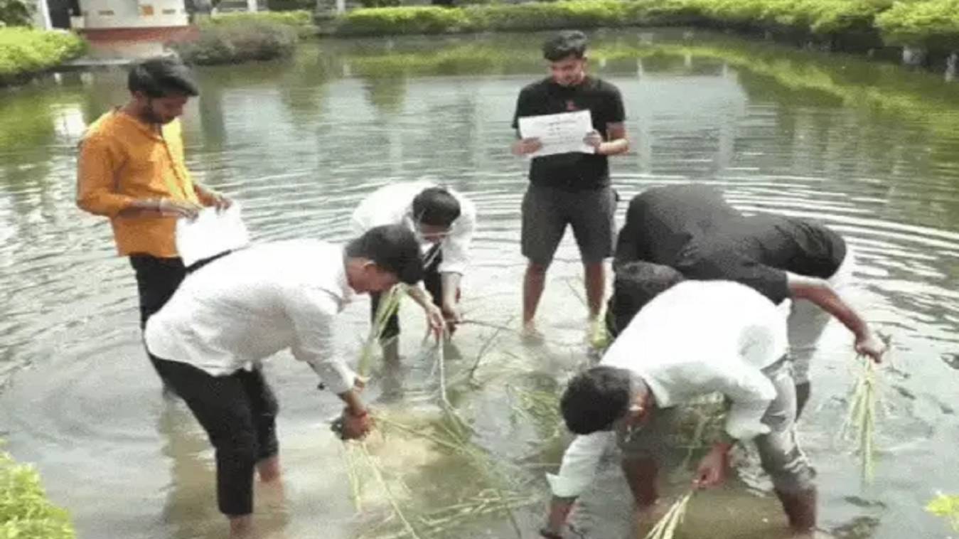 दीक्षांत समारोह से पहले काशी विद्यापीठ में छात्रों का अनोखा विरोध, पार्क में धान रोपकर दिखाया भ्रष्टाचार को आईना 