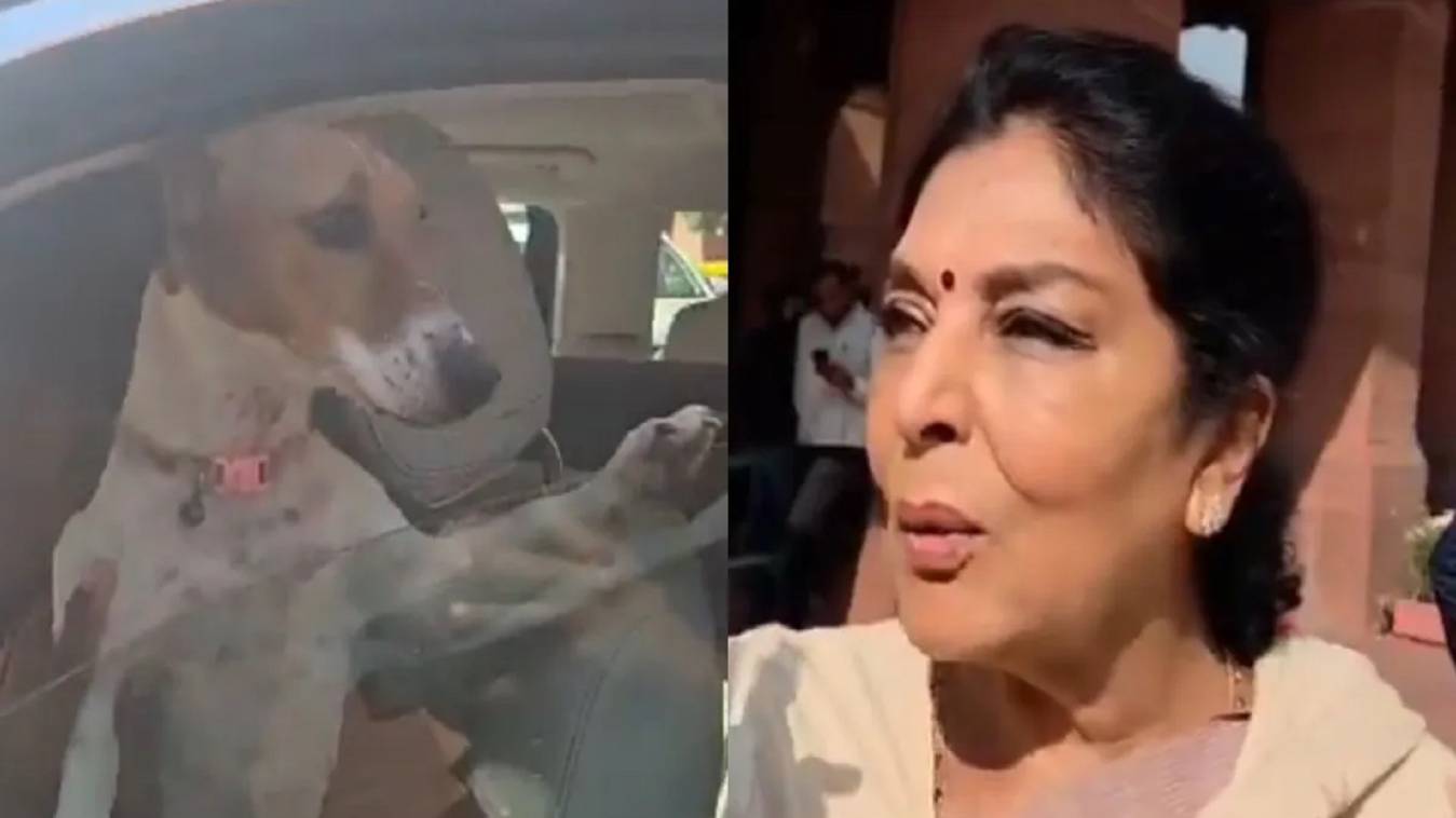 संसद में कुत्ता लेकर पहुंचीं रेणुका चौधरी, बोलीं- काटने वाले संसद में हैं, कुत्ता नहीं