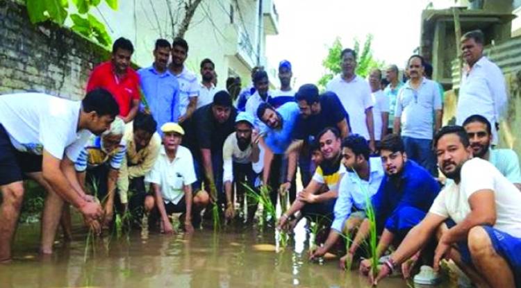 वाराणसी में जलभराव से परेशान लोगों ने सड़क पर धान रोप कर जताई नाराजगी, बोले- शिकायत के बाद भी सुनवाई नहीं