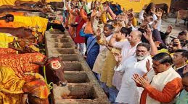 Gopashtami 2022: मंदिरों और मठों की गोशालाओं में पूजी गई गौमाताएं 