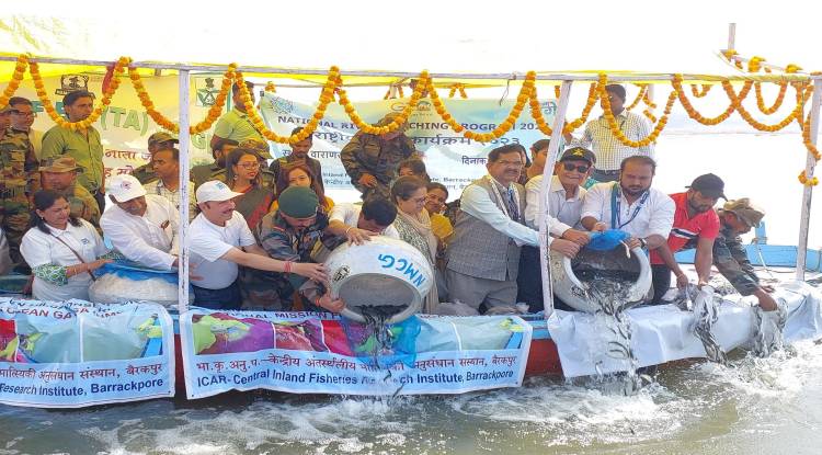 वाराणसी के रविदास घाट पर छोड़ी गई दो लाख से अधिक मछलियां, NMCG के तहत हो रहा कार्यक्रम