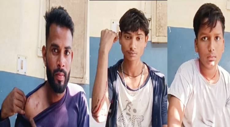 तेंदुए के हमले से चार लोग घायल