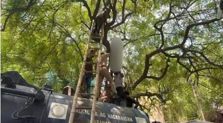 Varanasi: नगर निगम कार्यालय के पास नीम के पेड़ से लटककर युवक ने दी जान, इलाके में हड़कंप; जांच में जुटी पुलिस