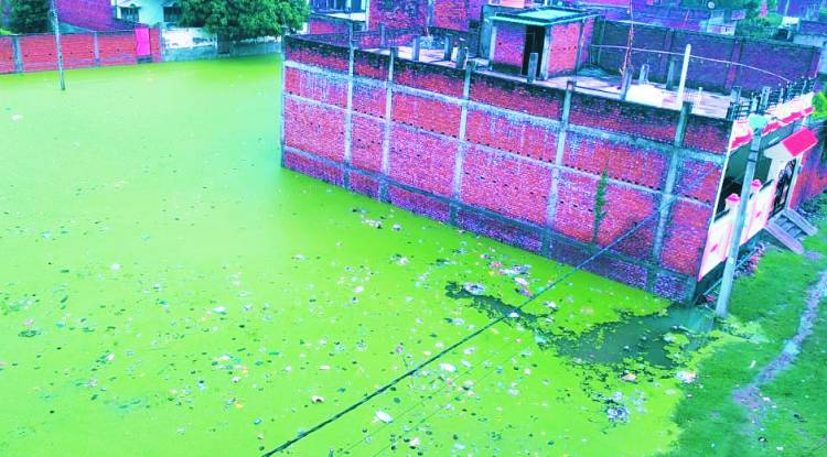 साहब ! रत्तापुर को नहीं मालूम विकास किस चिड़िया का नाम है 