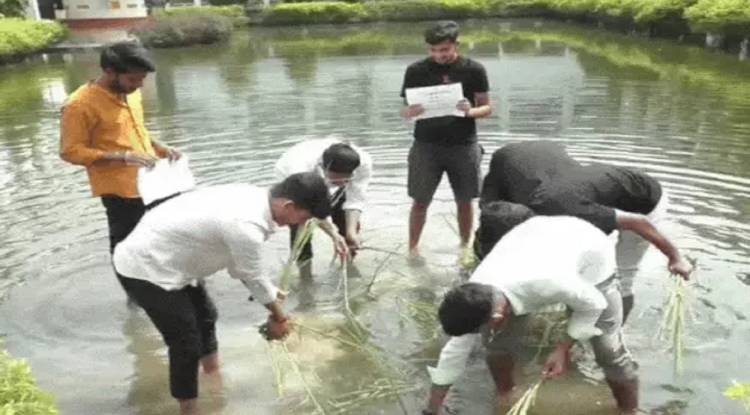 दीक्षांत समारोह से पहले काशी विद्यापीठ में छात्रों का अनोखा विरोध, पार्क में धान रोपकर दिखाया भ्रष्टाचार को आईना