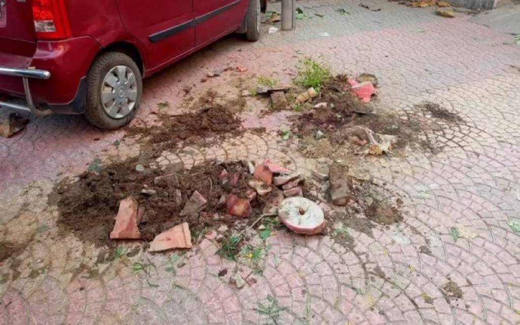 विक्षिप्त ने अधेड़ के सिर पर वार कर की हत्या