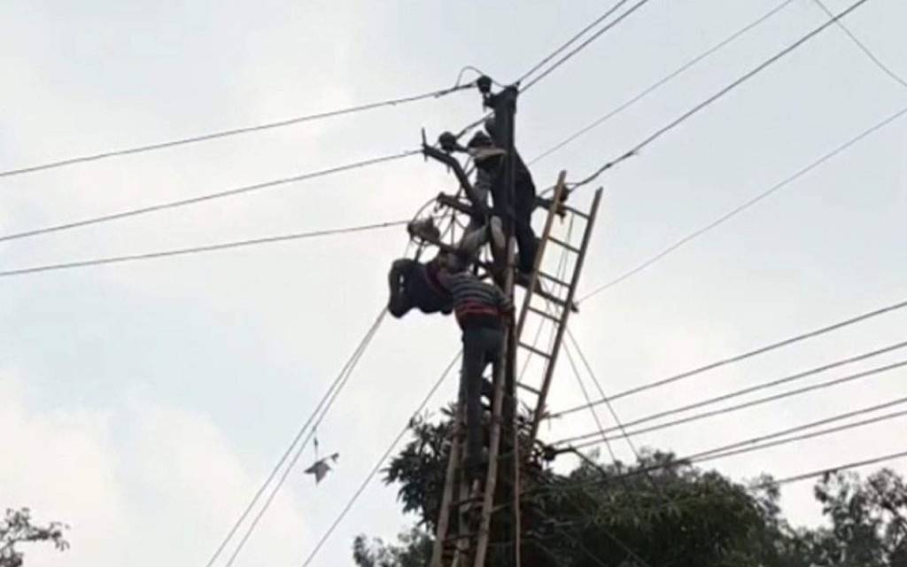 खंभे पर चढ़कर ठीक कर रहा था बिजली, गलत फीडर ऑन होने से करंट से दो लाइनमैन झुलसे