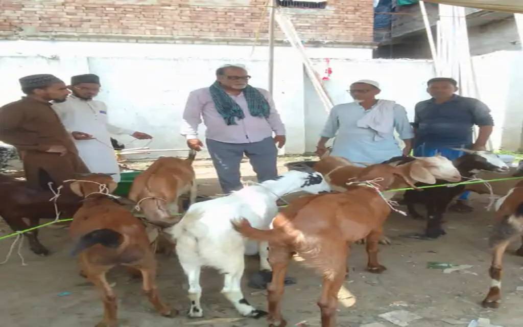 10 को होगी बकरीद, तैयारियां शुरू, नहीं लगेगा बेनियाबाग में कुर्बानी बकरों का बाजार