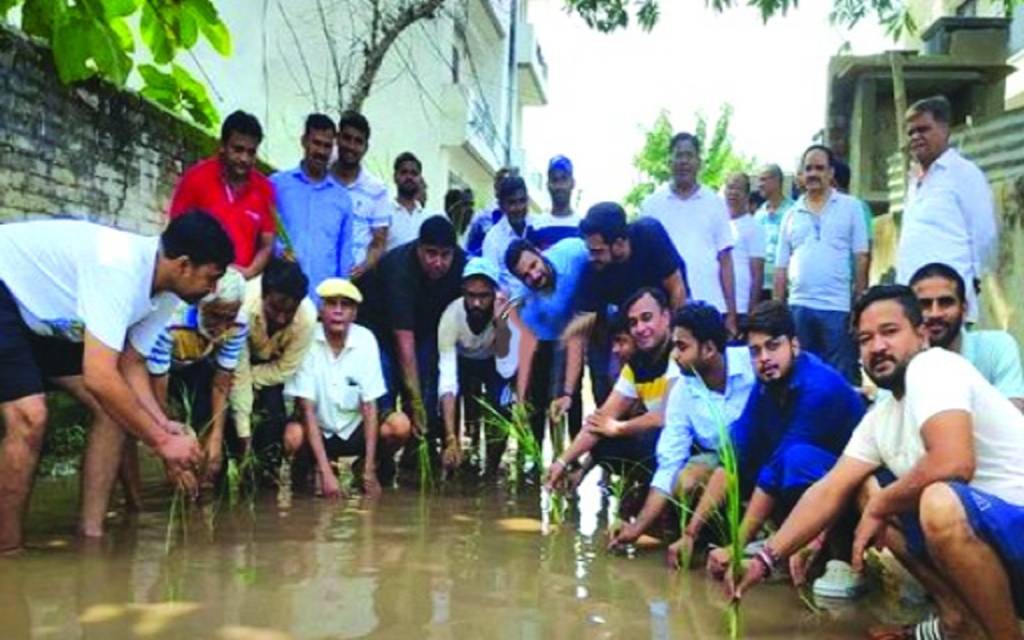 वाराणसी में जलभराव से परेशान लोगों ने सड़क पर धान रोप कर जताई नाराजगी, बोले- शिकायत के बाद भी सुनवाई नहीं