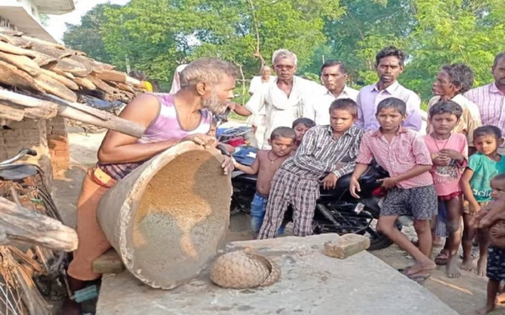 किसान के किचन में मिला दुर्लभ जीव पैंगोलिन, देखने को उमड़ी भीड़