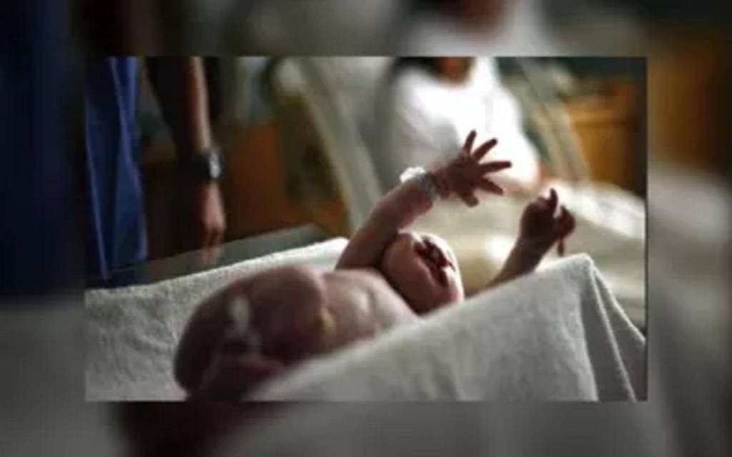 अवारा कुत्तों के चबाने से झाड़ियों में फेके गए नवजात ने तोड़ा दम