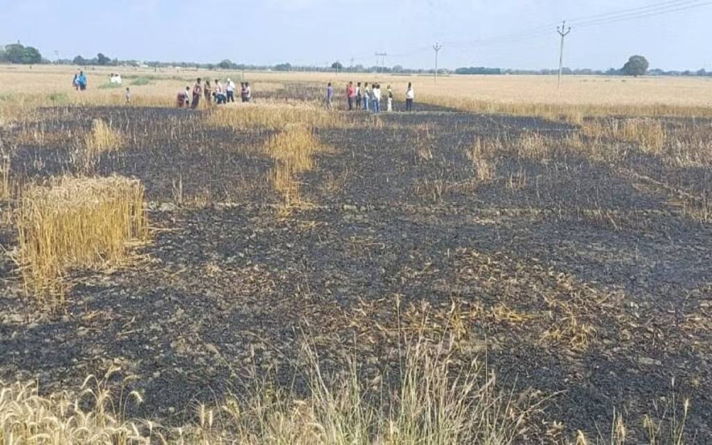 हाईटेंशन लाइन की चिंगारी से लगी आग, 7 बीघा गेहूं की फसल जलकर राख