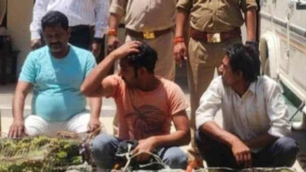एसटीएफ और वन विभाग के हत्थे चढ़े तस्कर