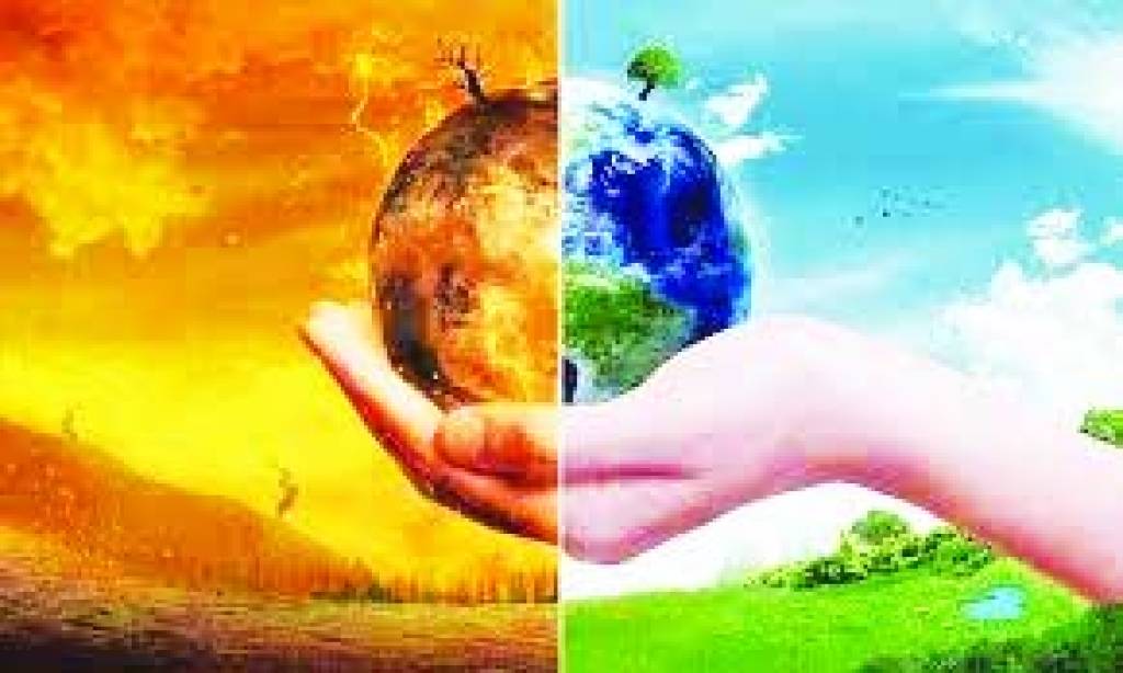 पर्यावरण की रक्षा के लिए जरूरी है पखेरुओं का संरक्षण