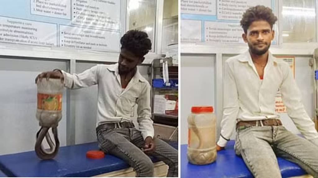 कोबरा सांप के साथ अस्पताल पहुंचा युवक, डॉक्टरों से बोला- इसने मुझे काट लिया है