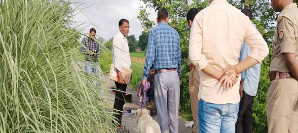 कनपटी पर गोली मारकर युवक की हत्या