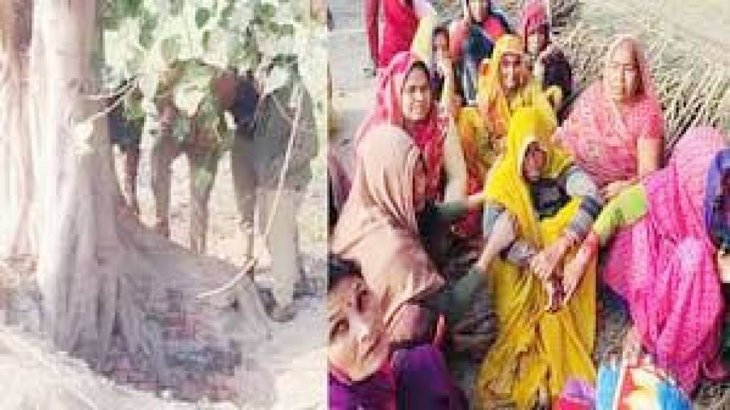 पत्थर से सिर कूंचकर बुजुर्ग किसान की हत्या