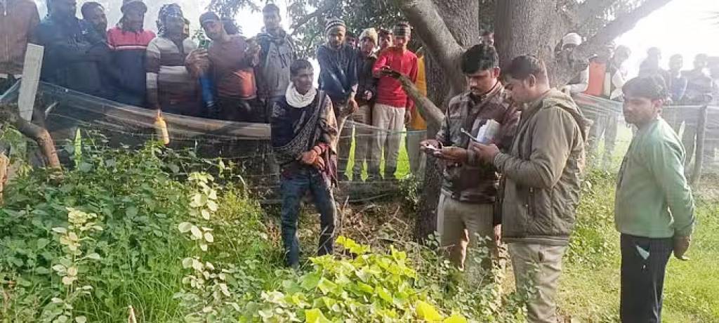 पेड़ पर फंदे से लटका मिला अधेड़ का शव