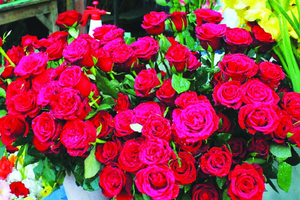 शुरू हुआ वैलेंटाइन वीक तो गुलाब के बढ़े भाव