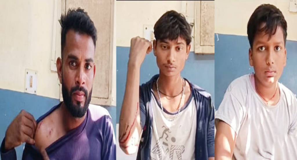 तेंदुए के हमले से चार लोग घायल