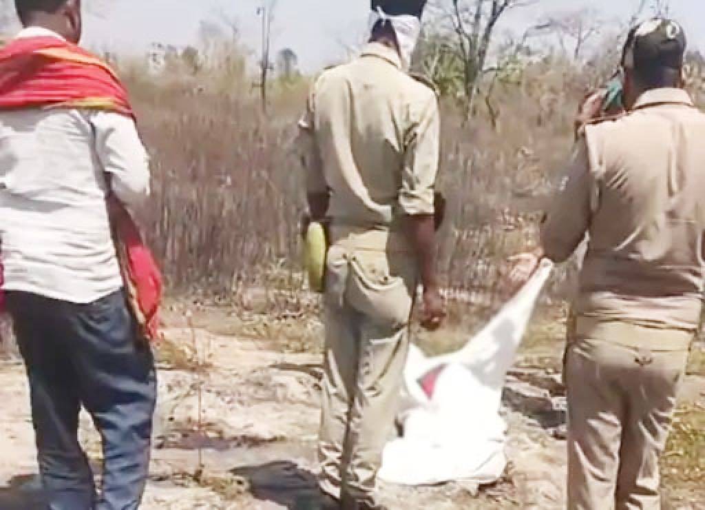 चिरूई जंगल में मिले दो बुजुर्गों के शव