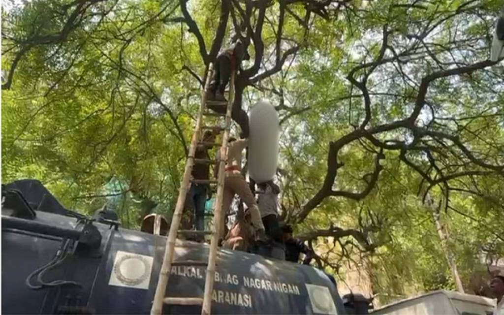 Varanasi: नगर निगम कार्यालय के पास नीम के पेड़ से लटककर युवक ने दी जान, इलाके में हड़कंप; जांच में जुटी पुलिस