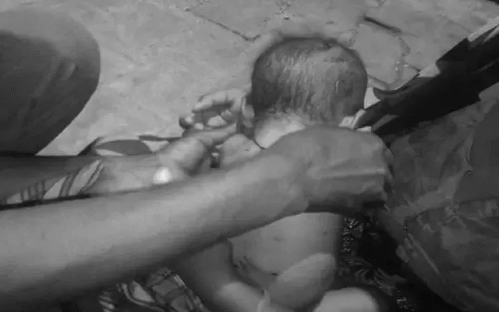 फर्रुखाबाद में 5 महीने के बच्चे को आवारा कुत्तों ने नोच-नोचकर मार डाला, पीठ पर 50 से ज्यादा जख्म