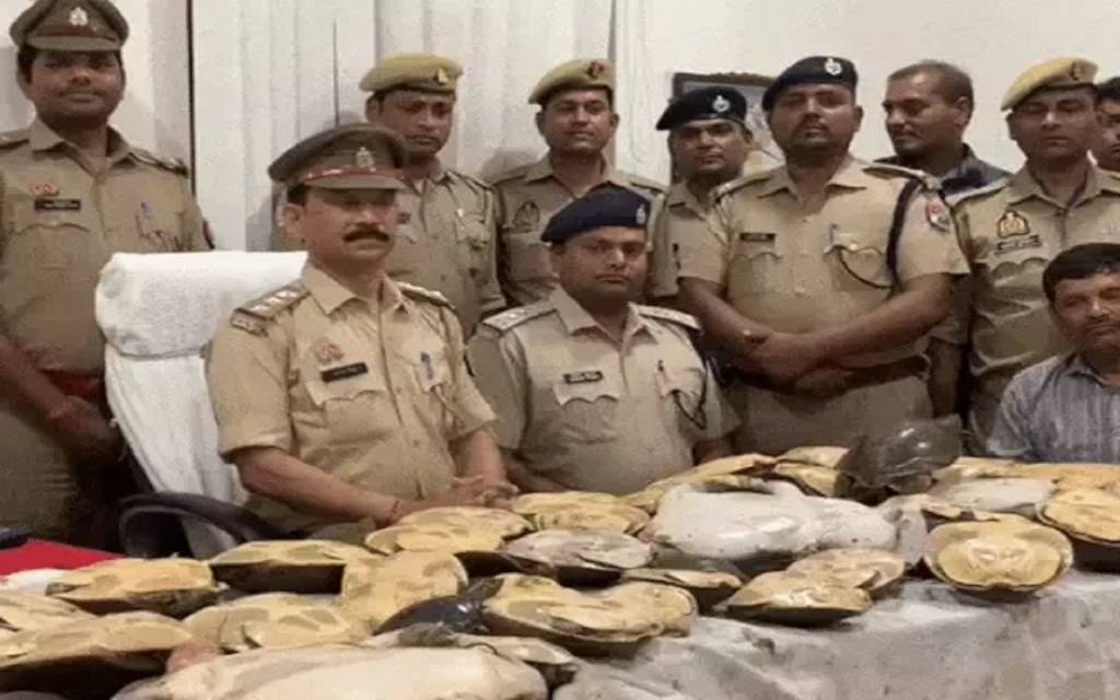 Varanasi : रेलवे स्टेशन पर वन्य जीव तस्करी का भंडाफोड़, ट्रेन की बोगी में 6 बैग में भरे मिले 60 जीवित कछुए