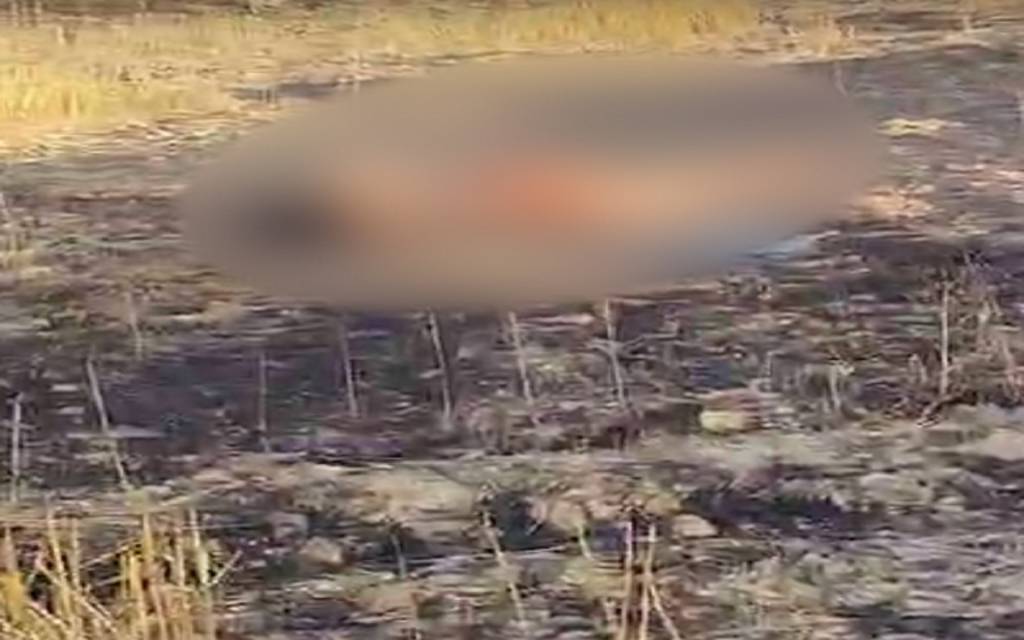 गोरखपुर में प्रेमी जोड़े की अर्धनग्न मिली लाश, दो दिन से थे घर से फरार…